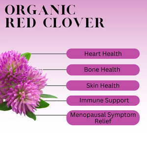थोक उच्च गुणवत्ता वाले ट्राइफोलियम प्रवण अर्क <span class=keywords><strong>10</strong></span>:<span class=keywords><strong>1</strong></span> लाल क्लोवर अर्क - Product Image 5