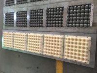 Moule à œufs personnalisé pas cher BKM06 en aluminium/cuivre/plastique avec processus CNC pour petite machine à œufs (certifié ISO9001)