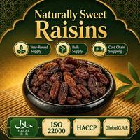 Raisins Rouges Séchés, Fruits Secs, Contenu de Raisins Naturels, Doux, Couleur Riche, Snack Premium, Ingrédient pour la Pâtisserie et la Cuisine, Durée de Conservation de 12 Mois