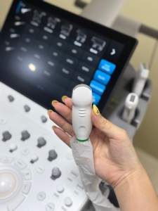 Système d'imagerie numérique à ultrasons Sonoscape ProPet 70 avec Doppler couleur et haute résolution pour usage vétérinaire avec fonction stable - Product Image 6