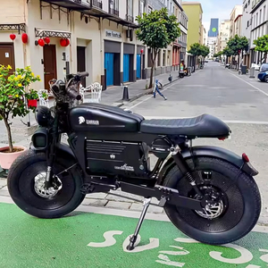 Bicicleta de Montaña de Alta Potencia para Adultos y Jóvenes, Plegable, con Neumáticos Anchos, Batería de Litio, Protector de Dignidad, Sin Necesidad de Aluminio - Product Image 2