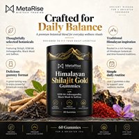 Gummies de Shilajit à Marque Blanche OEM – Nutrition Minérale pour un Mode de Vie Actif – Complément Alimentaire – 60 Unités