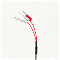 Sonde de température blindée PT100 en platine haute précision, anti-brûlure, avec câble blindé, personnalisable OEM/ODM, IP20