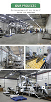Ligne de production de chips de pommes de terre de qualité industrielle, capacité de 1000 kg/h, prix d'usine, équipement de production automatique de chips de qualité alimentaire