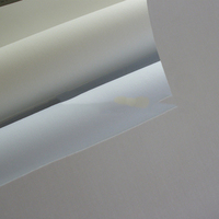 En gros Accessoire 100% Polyester Arabe Thobe Entoilage Tissé Fusible Tissu