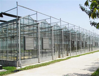 Serre agricole multi-travées de type Venlo commercial de haute qualité Maison verte en verre de grande taille à vendre