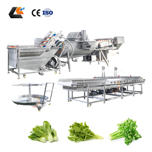 เครื่องล้างผักผลไม้ ผักกาดหอม ราคาโรงงาน เครื่องหั่นสลัด เครื่องทำสลัด สายการผลิตผักสลัด - Product Image 4