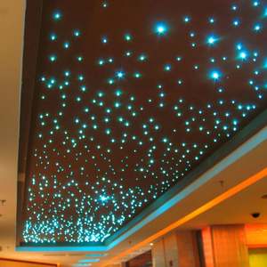 Elanby EP-017 - Lámpara de Techo LED con Forma de Estrella, Fibra Óptica, Cristal, Accesorios de Extremo, Clasificación IP68, Luz Diurna de 6000K para Decoración e Iluminación - Product Image 6