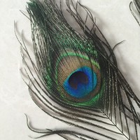 Plume de paon à gros yeux de haute qualité, matériau de décoration populaire, plume de paon naturelle véritable