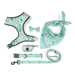 Groothandel Custom Hoge Kwaliteit Zacht Geen Pull Pet Verstelbare Omkeerbaar Zes Delige Set Designer Leash Set Hond Harnas