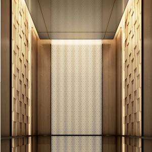 Elevadores Eléctricos de Tracción, Elevadores para Personas, Puertas Automáticas, Elevador Residencial para 4 Personas - Product Image 5