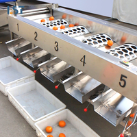 Automatische RVS Fruit- & Groente Sorteermachine Hoge Efficiëntie Noten-Knoflook Verwerker 3-6 Graad Verstelbaar
