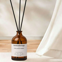 Diffuseur d'huiles essentielles en verre écologique de 100 ml, design nordique pour la décoration de la maison, avec libération de parfum longue durée