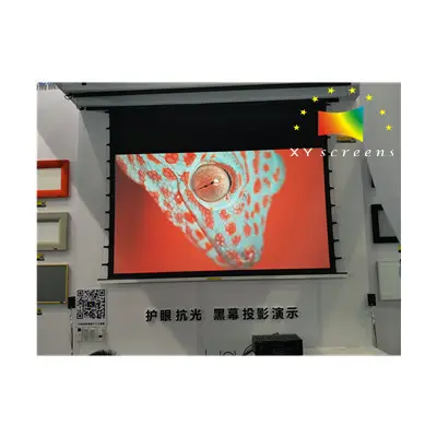In ceiling electric projector screen Black Crystal ALR hidden motorized projection screen for epson projector