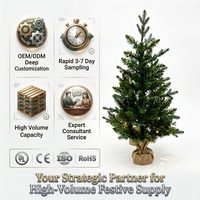 Sapin de Noël artificiel National Tree Company, 1,20 m, type Grande Sapin Canadien, pré-éclairé, 100 lumières transparentes, 230 pointes, avec support inclus