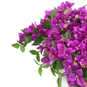 <span class=keywords><strong>Bougainvillier</strong></span> <span class=keywords><strong>en</strong></span> soie artificielle Spectabilis <span class=keywords><strong>tige</strong></span> d'arbre conception d'escalade <span class=keywords><strong>en</strong></span> Rose rouge rose violet pour décorations de graduation de Noël - Product Image 6