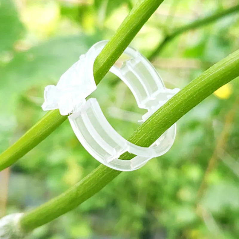 Hızlı domates halka klipsi bahçe plastik bitki desteği plastik aşılama klipleri domates yığınları için bitki klipleri