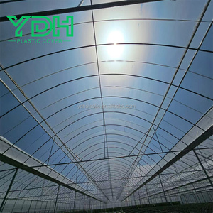 UV Resistant 6 Mil Thickness Blow Molding Plastic <strong>Greenhouse</strong> <strong>Cover</strong> <strong>Replacement</strong> Sheet for <strong>Greenhouses</strong> - Product Image 6