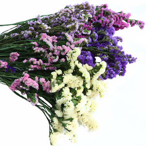 Suministro directo de fábrica Flor eterna Flor estática preservada duradera No <span class=keywords><strong>me</strong></span> olvides para la decoración de la boda del Día de San Valentín - Product Image 1