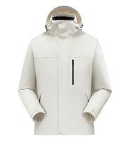 Veste matelassée unisexe OEM ODM en gros, veste d'hiver pour hommes, doublure en duvet 80% amovible, veste à capuche pour hommes