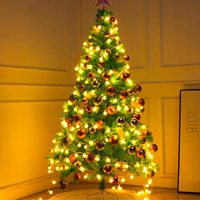 39 Fuß 100 Fuß Led Globuskugel Märchenstring-Lichter Stecker in Weihnachtslichter Outdoor wasserdicht Dekoration Licht