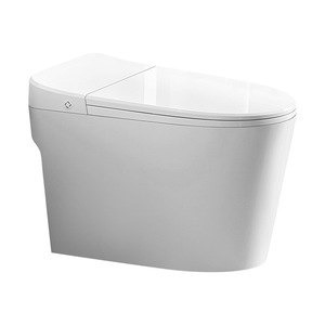 Une toilette domestique standard puissante, ne nécessitant aucune électricité, dotée d'un <span class=keywords><strong>limiteur</strong></span> <span class=keywords><strong>de</strong></span> <span class=keywords><strong>pression</strong></span> d'eau et utilisant une - Product Image 1