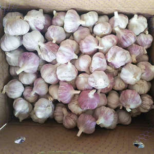 Alho Ail Ajo ajo fresco al por mayor precio de China proveedores verificados - Product Image 3