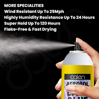 Grand format 180 ml en aérosol, Spray de fusion de dentelle à tenue extrême, séchage rapide, colle capillaire, marque privée, très vendu