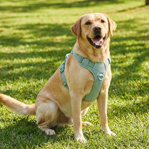 Harnais réfléchissant pour <span class=keywords><strong>chien</strong></span> avec anneaux en D avant et arrière, poignée anti-traction, poche GPS dissimulée, gilet respirant réglable pour la promenade et l'entraînement - Product Image 5