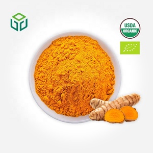 Pasokan Pabrik Ekstrak Kurkumin Organik Bubuk Akar Kunyit Kelas Makanan Suplemen Antioksidan Grosir - Product Image 1