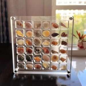36 Lattice Mini Seaside Shell Specimen <b>Storage</b> <b>Box</b> <b>Small</b> Crafts Magnetic Acrylic Seashell Display <b>Box</b> Just case JIC-U 109 - Product Image 4