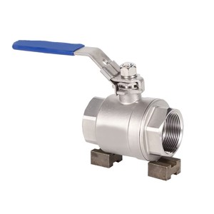 สกรูปลายเกลียวตัวเมีย วัสดุปิดผนึก PTFE  ทำจากเหล็กกล้าไร้สนิมคุณภาพสูง CF-8 AISI 304 สำหรับอุตสาหกรรมน้ำมันและก๊าซ - Product Image 1