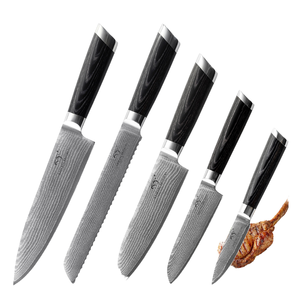 Ensemble de 5 couteaux de chef professionnels en acier Damas à haute teneur en carbone avec manche en résine et étui en cuir, couteaux Viking ambidextres - Product Image 3