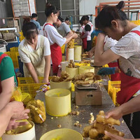 Prix du fournisseur chinois gingembre frais, prix du marché, Nutrition riche gingembre frais
