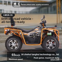 Véhicule tout-terrain sur mesure haute puissance 300cc, 4x4 haute performance, buggy de montagne tout-terrain, buggy de plage