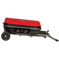 Barbecue portable pliable sur roulettes, machine à griller au gaz, 2 brûleurs, en acier inoxydable, robuste pour l'extérieur