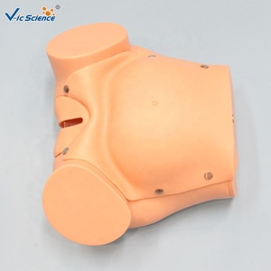 Manichino per Addestramento Ostetrico Completo, Modello di Simulazione del Parto per l'Insegnamento della Ostetricia CE/ISO/ROHS/CNAS - Product Image 4