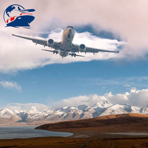 Frais d'expédition de la Chine vers les États-Unis Expédition aérienne de la Chine vers les États-Unis Transitaire de la Chine vers les États-Unis <span class=keywords><strong>Service</strong></span> de fret - Product Image 4