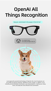 Lentes Inteligentes G300 con Control Táctil por Voz a través <span class=keywords><strong>de</strong></span> la Aplicación, Cámara <span class=keywords><strong>de</strong></span> 8MP, Grabación <span class=keywords><strong>de</strong></span> Video 1080P, Traducción IA en Tiempo Real, Estabilización <span class=keywords><strong>de</strong></span> Imagen - Product Image 4