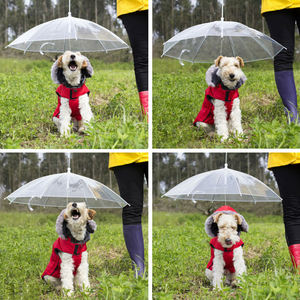 New Design The Transparent Pet Dog Umbrella - Product Image 3