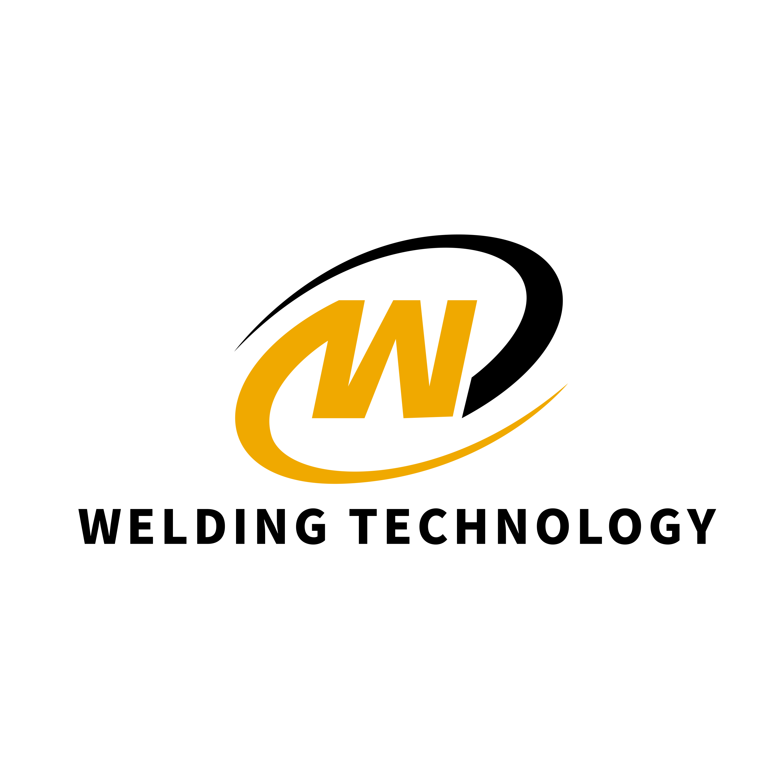 Hangzhou Welding Technology Co., Ltd. logo