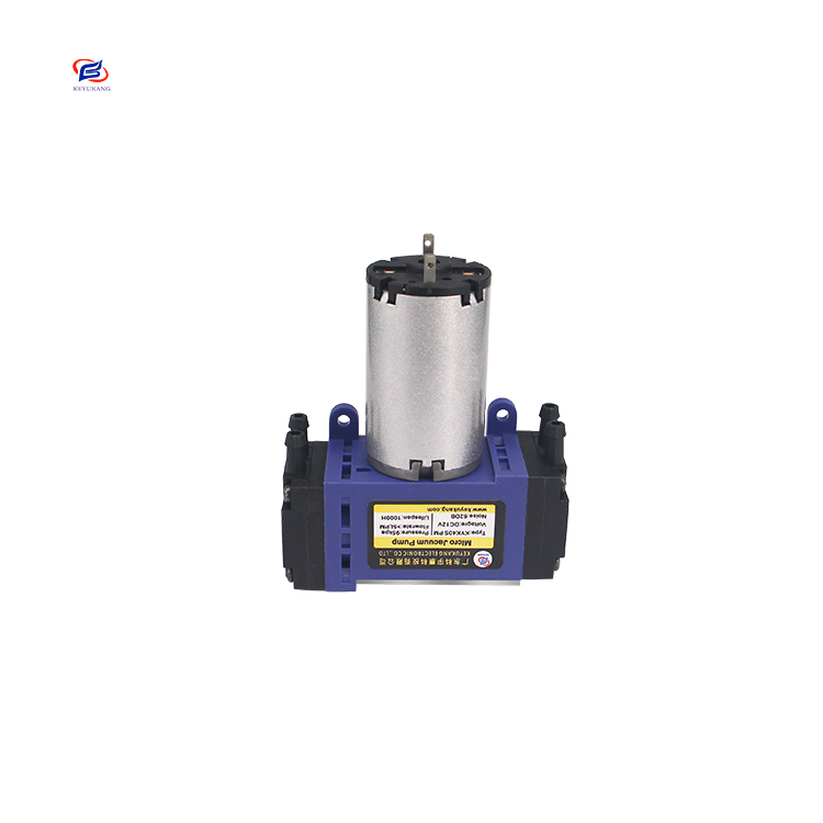 Китайский поставщик, высокотемпературный супер мини воздушный насос с двигателем 12 В