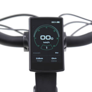 Vélo de livraison rapide TXED 20 pouces 48V 250W 7 vitesses avec cadre en alliage, frein à disque, <span class=keywords><strong>moteur</strong></span> à moyeu arrière et écran LCD - Product Image 5