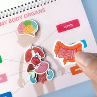 Libro de Actividades Educativas Montessori para Niños Pequeños y Preescolares - Aprendizaje de la Estructura Corporal con 15 Temas, Tapa Dura de Cartón