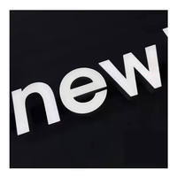 Lettres rétroéclairées avant personnalisées pour extérieur ou intérieur Enseignes 3D Lettres électroniques pour canal en résine époxy pour LED
