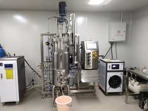 Maquinaria química línea de producción de ácido cítrico máquina de levadura fermentador de acero inoxidable biorreactor 100L - Product Image 2
