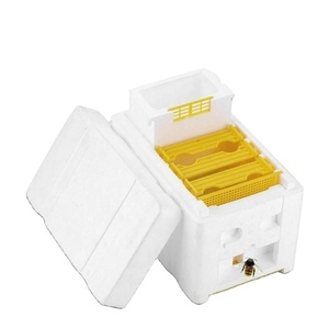 Hign Quality Mini mating nuc box styrofoam plastic nuc boxes
