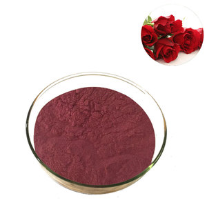 Polvo de extracto de Roselle concentrado de hibisco Soluble en agua Longze - Product Image 2