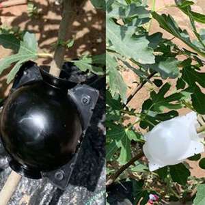 Boîte d'enracinement <span class=keywords><strong>de</strong></span> plantes réutilisable, dispositif <span class=keywords><strong>de</strong></span> boule d'enracinement réutilisable, diffusion haute pression, greffage, Rooter, boîtes pour <span class=keywords><strong>jardin</strong></span> - Product Image 4