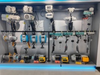 Palans à chaîne électriques certifiés CE 220V 230V 380V 400V 415V 440V 1T 2T 3T 5T avec télécommande pour grue